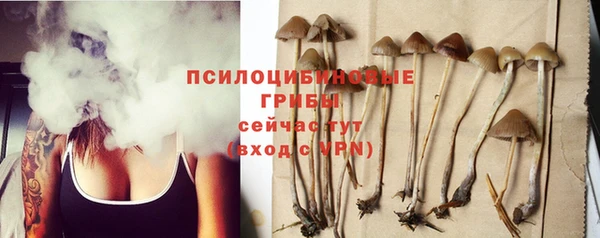 таблы Струнино