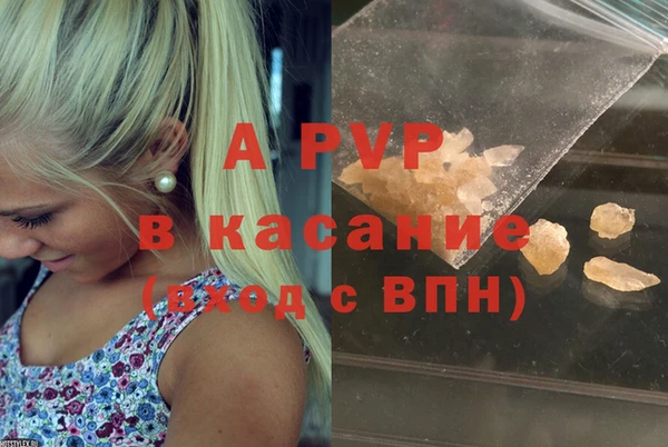 спиды Белокуриха