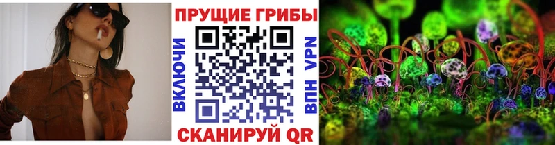Галлюциногенные грибы Psilocybe Шилка