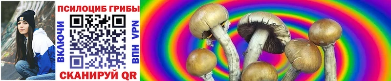 Псилоцибиновые грибы Magic Shrooms  Шилка 